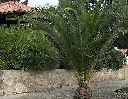 Bellajo Hotel *